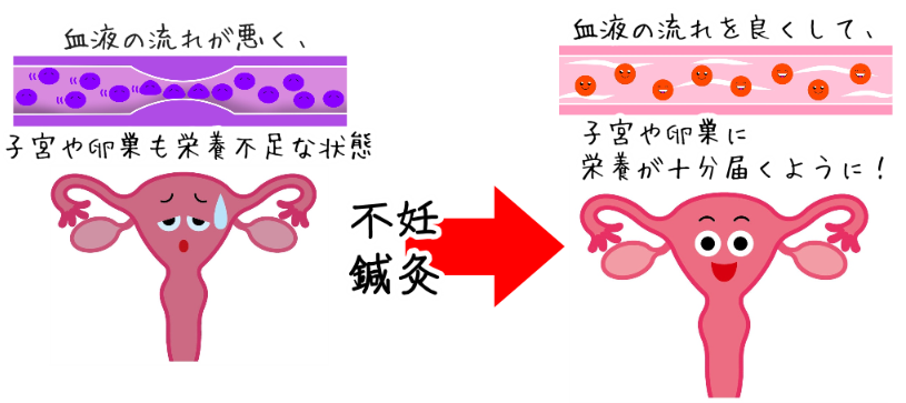 子宮の血流改善